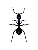 Vector Ant Stock Images