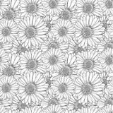 Vector Antistress Kleurende Bloemen, Naadloos Zwart-wit Patroon, stock illustratie Vector Antistress Kleurende Bloemen, Naadloos Zwart-wit Patroon, stock illustratie