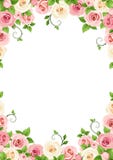 Vector background with pink and white roses. vector illustration Vector background with pink and white roses. vector illustration