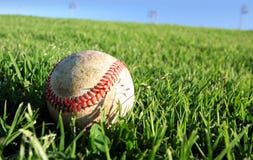 Vector Baseball On Grass