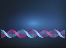 Vector blauwe de lijn Blauwe achtergrond van DNA royalty-vrije stock afbeeldingen Vector blauwe de lijn Blauwe achtergrond van DNA royalty-vrije stock afbeeldingen