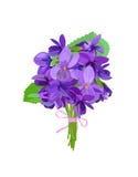 Small cute bouquet of violets with leaves. Vector illustration. royalty free illustration Small cute bouquet of violets with leaves. Vector illustration. royalty free illustration