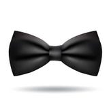 Papion black tie