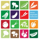 Vector Collection: Vegetable Icons Royalty Free Stock Photo
