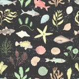 Vector colored seamless pattern of sea shells, fish, seaweeds isolated on black textured background vector illustration Vector colored seamless pattern of sea shells, fish, seaweeds isolated on black textured background vector illustration
