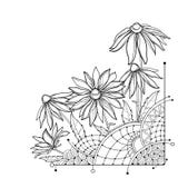 Vector corner bunch with outline Rudbeckia hirta or black-eyed Susan flower, ornate leaf and bud in black isolated on white. stock illustration Vector corner bunch with outline Rudbeckia hirta or black-eyed Susan flower, ornate leaf and bud in black isolated on white. stock illustration