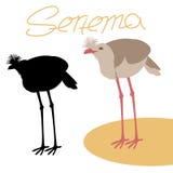 Vector de illustratie zwart silhouet met rode poten van vogelseriema vector illustratie Vector de illustratie zwart silhouet met rode poten van vogelseriema vector illustratie