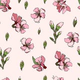 Vector de tegel roze amandel van het bloemenornament vector illustratie Vector de tegel roze amandel van het bloemenornament vector illustratie
