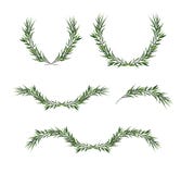 Vector decorative element set. Eucalyptus round Green leaf Wreath, greenery branches, winter garland, border, frame, elegant