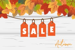 Vector del fondo de la bandera de Autumn Sale con las hojas anaranjadas y verdes de la caída con la etiqueta de la venta de la ej ilustración del vector Vector del fondo de la bandera de Autumn Sale con las hojas anaranjadas y verdes de la caída con la etiqueta de la venta de la ej ilustración del vector