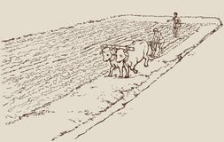 Vector Drawing. Primitive Agriculture. Peasants Tr Stock Photos Vector Drawing. Primitive Agriculture. Peasants Tr Stock Photos
