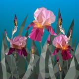 Vector el ejemplo con los triángulos púrpuras hermosos de la flor del iris Apenas llovido encendido stock de ilustración Vector el ejemplo con los triángulos púrpuras hermosos de la flor del iris Apenas llovido encendido stock de ilustración