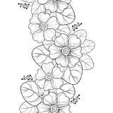 Vector el modelo inconsútil con la prímula del esquema o flor y las hojas de la primavera en negro en el fondo blanco frontera ve ilustración del vector Vector el modelo inconsútil con la prímula del esquema o flor y las hojas de la primavera en negro en el fondo blanco frontera ve ilustración del vector