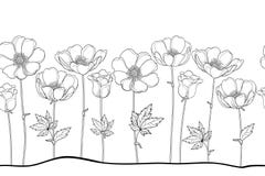 Vector el modelo inconsútil de la anémona o Windflower del esquema, brote y hoja en negro en el fondo blanco Frontera horizontal libre illustration Vector el modelo inconsútil de la anémona o Windflower del esquema, brote y hoja en negro en el fondo blanco Frontera horizontal libre illustration