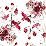 Vector el modelo inconsútil floral con las flores de la orquídea pintadas en wa ilustración del vector Vector el modelo inconsútil floral con las flores de la orquídea pintadas en wa ilustración del vector
