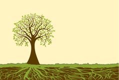 Vector el árbol ilustración del vector Vector el árbol ilustración del vector
