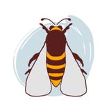 Vector exhausto de la abeja del garabato de la mano stock de ilustración Vector exhausto de la abeja del garabato de la mano stock de ilustración