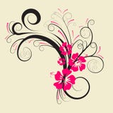 Vector Floral Design Stock Images
