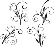 Vector Floral Set Royalty Free Stock Image