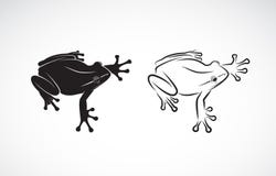 Vector of frog design on white background. Amphibian. Animal. Fr vector illustration Vector of frog design on white background. Amphibian. Animal. Fr vector illustration