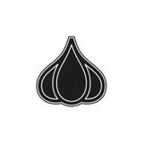 Vector Garlic illustration isolated - healthy stock illustration Vector Garlic illustration isolated - healthy stock illustration