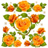 Vector gelbe Rosen-Gestaltungselemente, die auf weißem Hintergrund lokalisiert werden stock abbildung Vector gelbe Rosen-Gestaltungselemente, die auf weißem Hintergrund lokalisiert werden stock abbildung