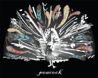 Vector Graphic Stylized Image Of Peacock Royalty Free Stock Photos Vector Graphic Stylized Image Of Peacock Royalty Free Stock Photos
