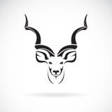 Vector of greater kudu head design on white background,animal. Royalty Free Stock Photography Vector of greater kudu head design on white background,animal. Royalty Free Stock Photography