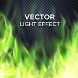 Vector green fire flames on transparent background Royalty Free Stock Photos Vector green fire flames on transparent background Royalty Free Stock Photos
