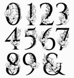 Vector Hand Drawn Floral Numbers Monograms And Logo Stock Images