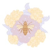 Vector Honey Bee with Roses in Pastel illustration print. stock illustration Vector Honey Bee with Roses in Pastel illustration print. stock illustration