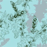 Vector illustratie Een tak met bloemen en knoppen Naadloos patroon leeuwebek vector illustratie Vector illustratie Een tak met bloemen en knoppen Naadloos patroon leeuwebek vector illustratie