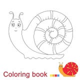 Coloring Book, Coloring Page (snail) Stock Vector - Illustration of