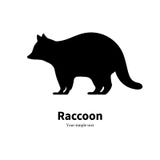 Vector illustration of a black raccoon silhouette stock illustration Vector illustration of a black raccoon silhouette stock illustration