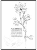 Vector illustration branches with floral decoration. Spring magnolia. Frame with flowers vector illustration Vector illustration branches with floral decoration. Spring magnolia. Frame with flowers vector illustration