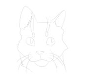 Vector illustration cat portrait, lines, vector royalty free illustration Vector illustration cat portrait, lines, vector royalty free illustration