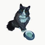 Cat asks for food vector illustration royalty free illustration Cat asks for food vector illustration royalty free illustration