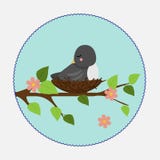 Vector illustration in flat style. Branch nest and bird vector illustration Vector illustration in flat style. Branch nest and bird vector illustration