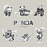 Pen style drawn vector panda bear. Stickers design. royalty free illustration Pen style drawn vector panda bear. Stickers design. royalty free illustration