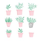 Vector illustration of potted flowers vector illustration Vector illustration of potted flowers vector illustration