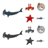 Vector illustration of sea and animal symbol. Set of sea and marine stock vector illustration. royalty free illustration Vector illustration of sea and animal symbol. Set of sea and marine stock vector illustration. royalty free illustration