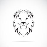 Vector Image Of An Lion Head Stock Image Vector Image Of An Lion Head Stock Image