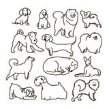 Vector met leuk beeldverhaaldos wordt geplaatst van verschillende rassen dat stock illustratie Vector met leuk beeldverhaaldos wordt geplaatst van verschillende rassen dat stock illustratie