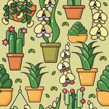 Vector naadloos patroon van huisinstallaties in ceramische potten stock illustratie Vector naadloos patroon van huisinstallaties in ceramische potten stock illustratie