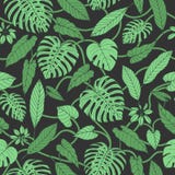 Vector o teste padrão sem emenda tropical com as folhas do monstera e da banana ilustração do vetor Vector o teste padrão sem emenda tropical com as folhas do monstera e da banana ilustração do vetor