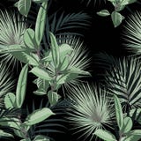 Vector o teste padrão tropical sem emenda, folha tropica vívida, com folhas de palmeira e elastica do ficus das hortaliças ilustração do vetor Vector o teste padrão tropical sem emenda, folha tropica vívida, com folhas de palmeira e elastica do ficus das hortaliças ilustração do vetor