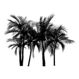 Vecter of palm trees, coconut tree. royalty free illustration Vecter of palm trees, coconut tree. royalty free illustration