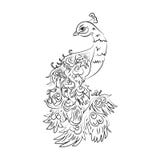 Cartoon Peacock In Black And White Stock Photos - Image: 5490203