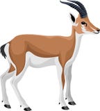 Vector persian gazelle impala Royalty Free Stock Photo Vector persian gazelle impala Royalty Free Stock Photo