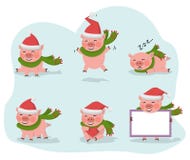 Cute pig collection isolated over white vector. Vector pig set isolated on a white background with red hat Santa Claus.New year symbol cartoon illustration.Farm vector illustration Cute pig collection isolated over white vector. Vector pig set isolated on a white background with red hat Santa Claus.New year symbol cartoon illustration.Farm vector illustration